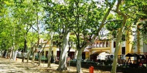 Anna-Mária Villa